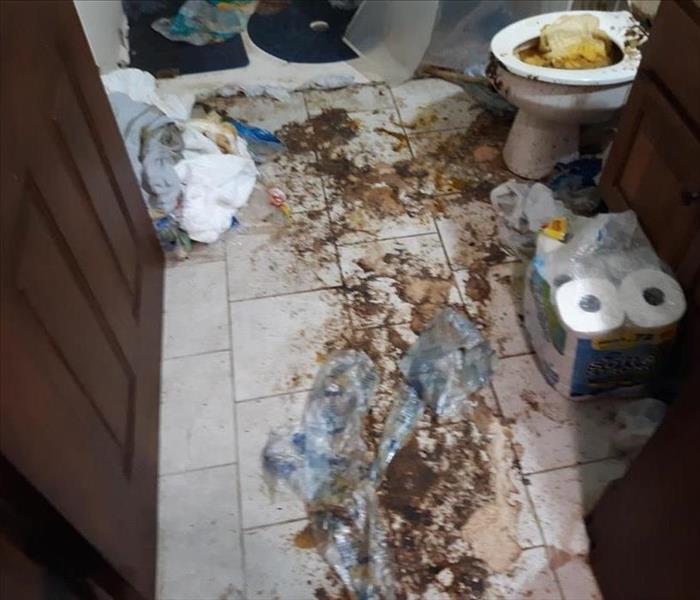 A residential bathroom had a toilet backup and there is feces all over the floor